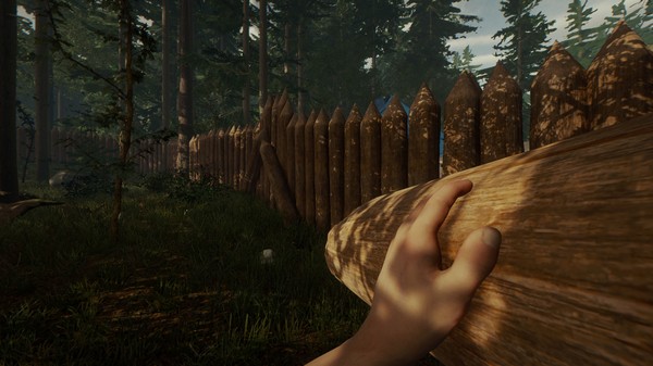 Screenshot 15 of The Forest
