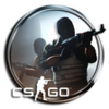 Counter-Strike: Global Offensive (CS: GO)