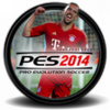 PES 2014 (Pro Evolution Soccer)