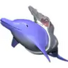 Laser Dolphin 1.3