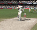 Screenshot 5 of EA SPORTS Cricket 07