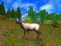 Screenshot 7 of Hunting Unlimited 2010