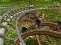 Screenshot 3 of Roller Coaster Tycoon 3.0