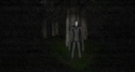 Screenshot 2 of Slender: The Eight Pages 0.9.7