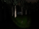 Screenshot 3 of Slender: The Eight Pages 0.9.7