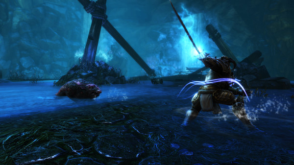 Screenshot 5 of Kingdoms of Amalur: Re-Reckoning