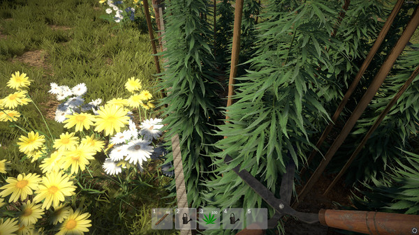 Screenshot 3 of Weed Farmer Simulator