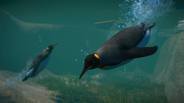 Screenshot 2 of Planet Zoo: Aquatic Pack