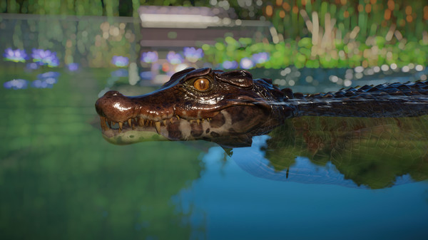 Screenshot 11 of Planet Zoo: Aquatic Pack