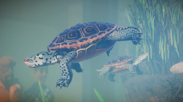 Screenshot 13 of Planet Zoo: Aquatic Pack