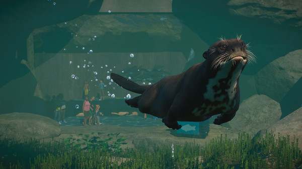 Screenshot 5 of Planet Zoo: Aquatic Pack