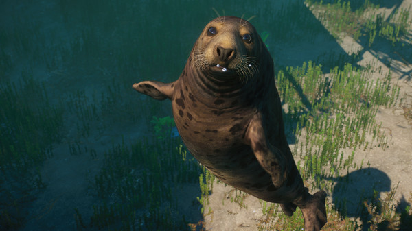 Screenshot 9 of Planet Zoo: Aquatic Pack