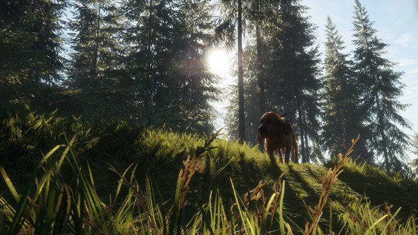 Screenshot 2 of theHunter: Call of the Wild™ - Bloodhound