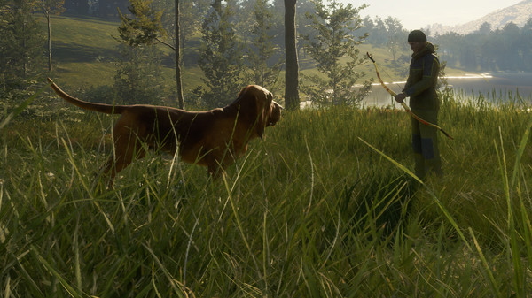 Screenshot 3 of theHunter: Call of the Wild™ - Bloodhound