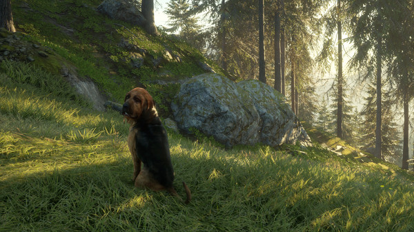 Screenshot 5 of theHunter: Call of the Wild™ - Bloodhound