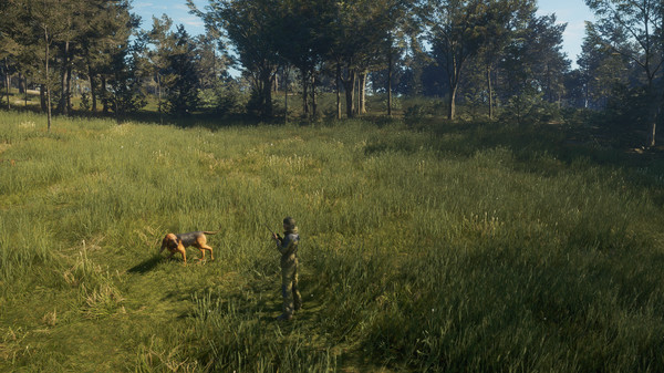 Screenshot 7 of theHunter: Call of the Wild™ - Bloodhound