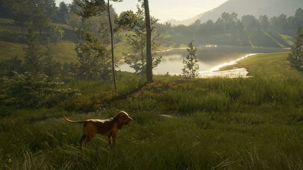 Screenshot 9 of theHunter: Call of the Wild™ - Bloodhound