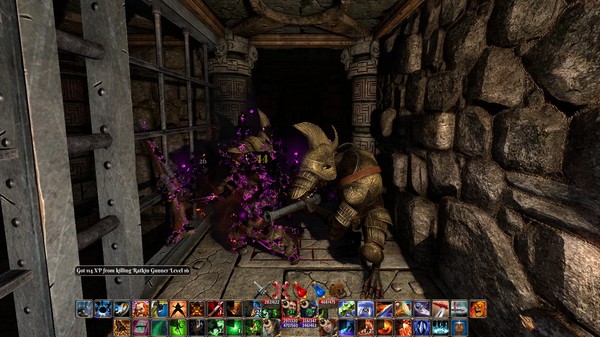 Screenshot 7 of The Fall of the Dungeon Guardians