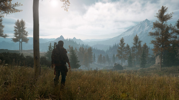 Screenshot 6 of Days Gone