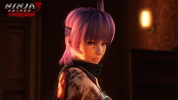 Screenshot 14 of [NINJA GAIDEN: Master Collection] NINJA GAIDEN Σ2