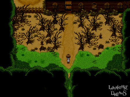 Screenshot 1 of Labyrinthine Dreams