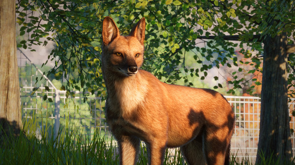 Screenshot 5 of Planet Zoo: Southeast Asia Animal Pack