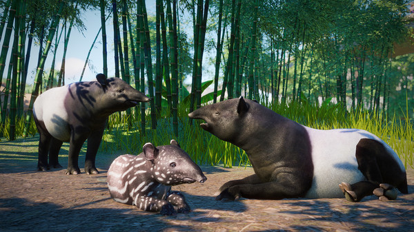 Screenshot 9 of Planet Zoo: Southeast Asia Animal Pack