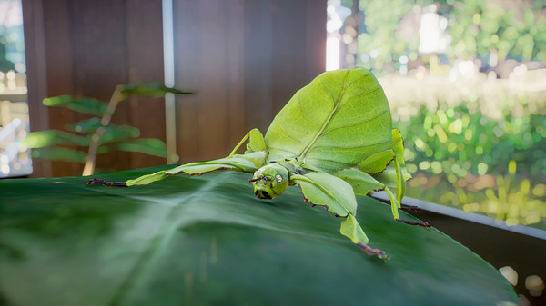 Screenshot 10 of Planet Zoo: Southeast Asia Animal Pack