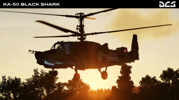 Screenshot 1 of DCS: Black Shark 2