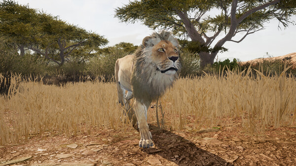 Screenshot 14 of Animalia Survival