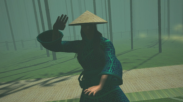 Screenshot 9 of Dragon Fist: VR Kung Fu