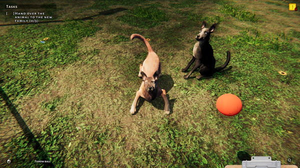 Screenshot 12 of Animal Shelter