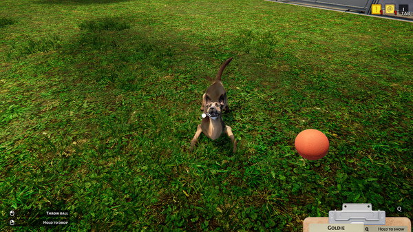 Screenshot 19 of Animal Shelter