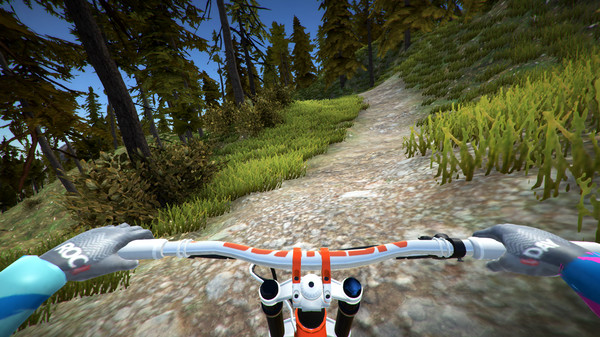 Screenshot 1 of MTB Downhill Simulator