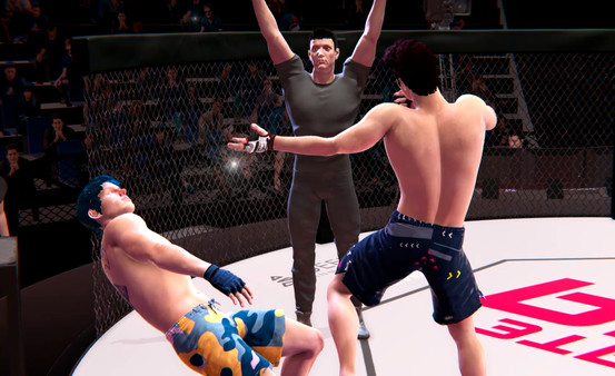 Screenshot 11 of Ultimate MMA