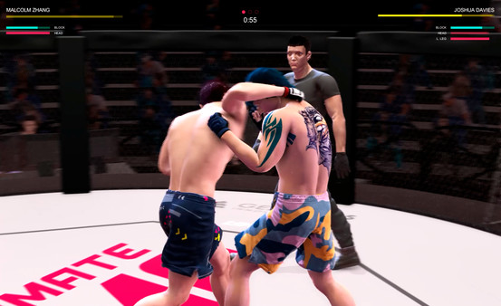 Screenshot 12 of Ultimate MMA