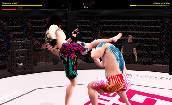 Screenshot 10 of Ultimate MMA