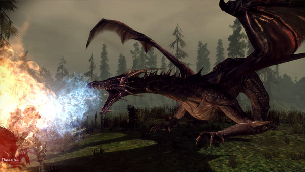 Screenshot 3 of Dragon Age: Origins