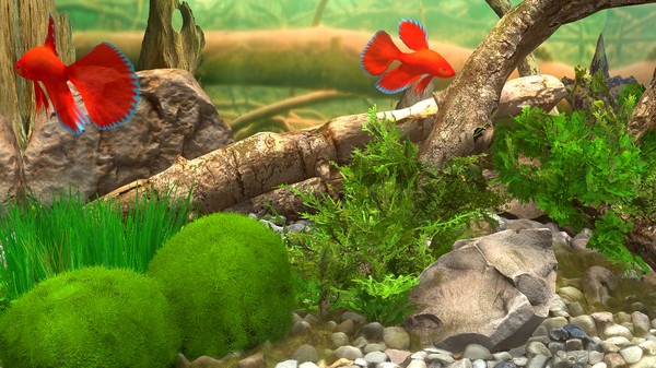 Screenshot 11 of Behind Glass: Aquarium Simulator