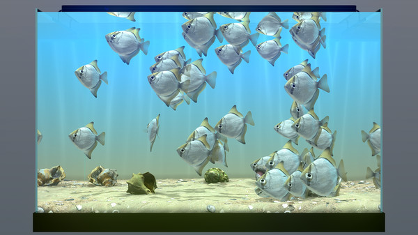 Screenshot 12 of Behind Glass: Aquarium Simulator