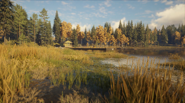 Screenshot 12 of theHunter: Call of the Wild™ - Revontuli Coast