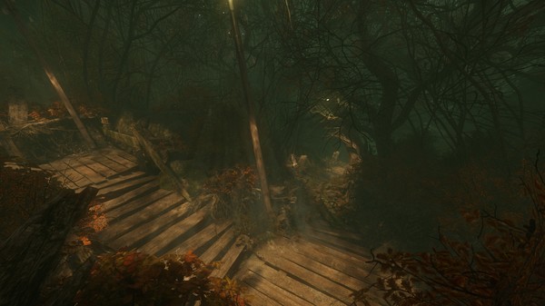 Screenshot 16 of The Cursed Forest