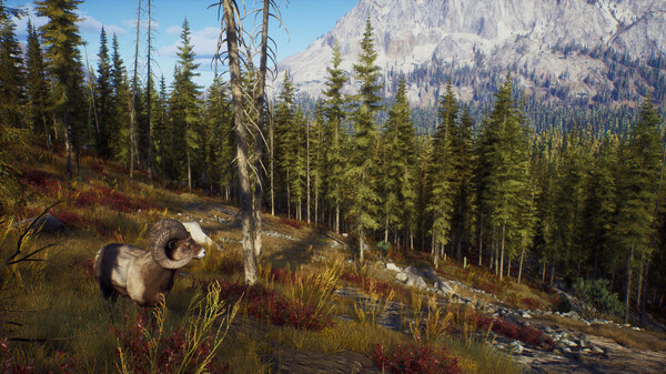 Screenshot 13 of Way of the Hunter