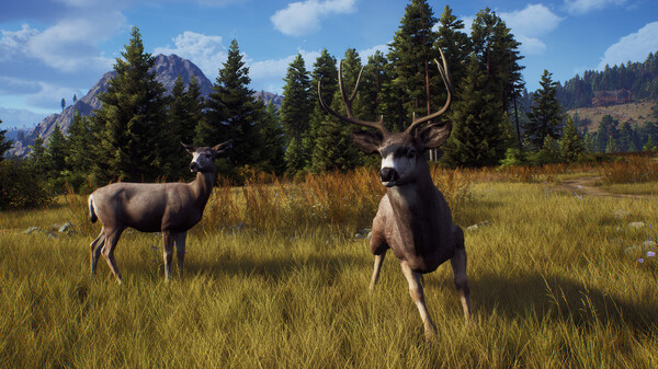 Screenshot 16 of Way of the Hunter