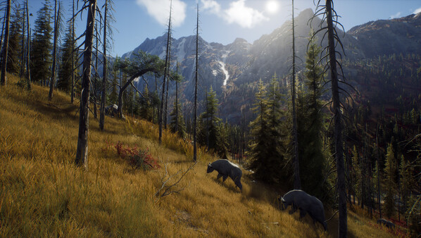 Screenshot 17 of Way of the Hunter