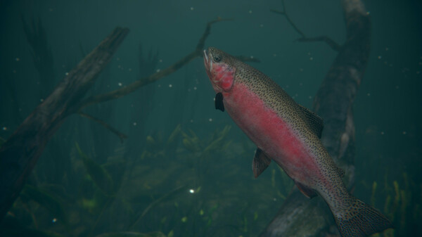 Screenshot 7 of Ultimate Fishing Simulator 2