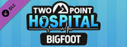 Two Point Hospital: Bigfoot