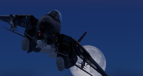 Screenshot 39 of X-Plane 12