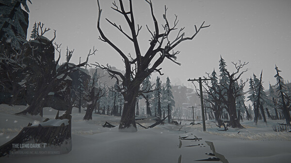 Screenshot 9 of The Long Dark: Tales from the Far Territory