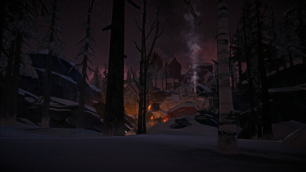 Screenshot 3 of The Long Dark: WINTERMUTE